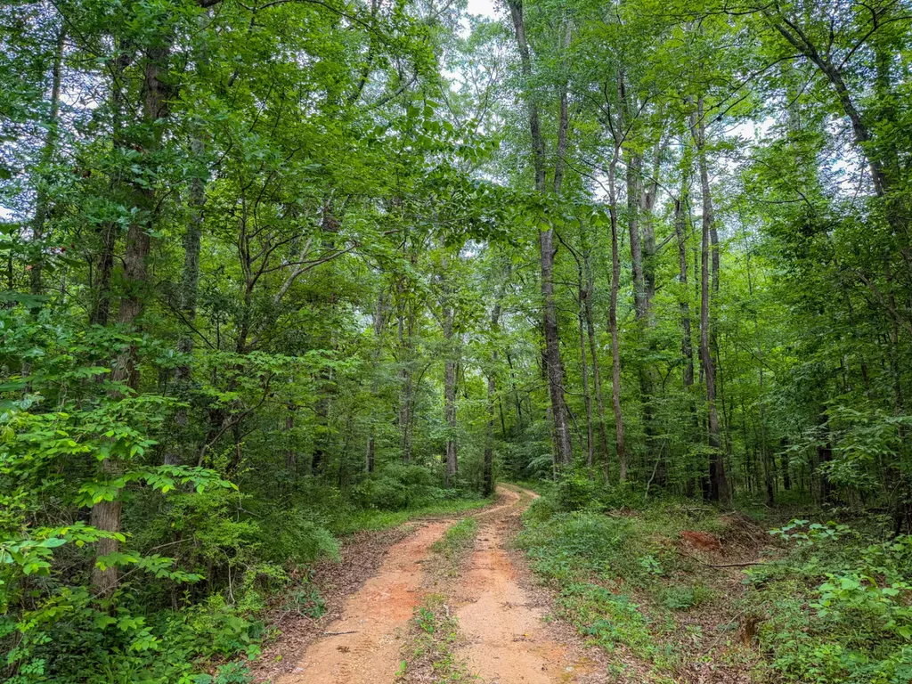 0 Highway 29 Marion Junction AL 36759