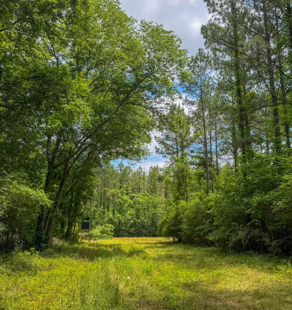 0 Highway 29 Marion Junction AL 36759