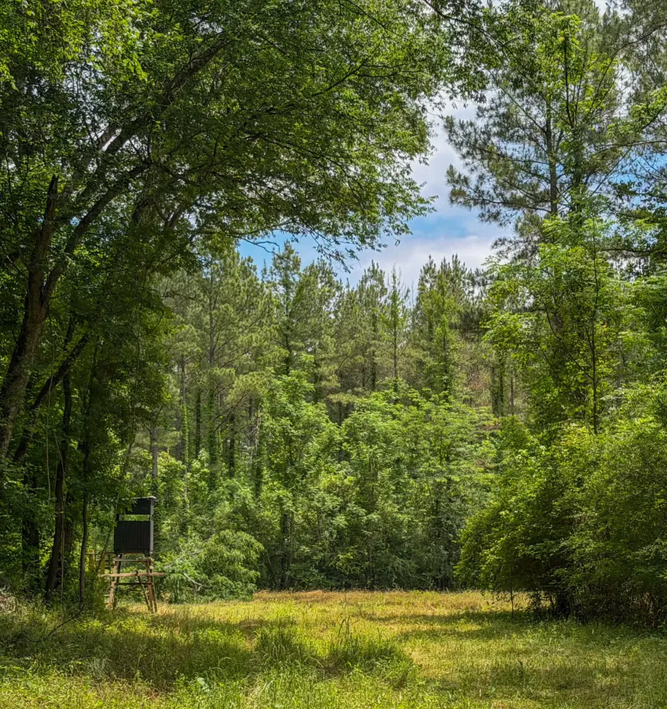 0 Highway 29 Marion Junction AL 36759