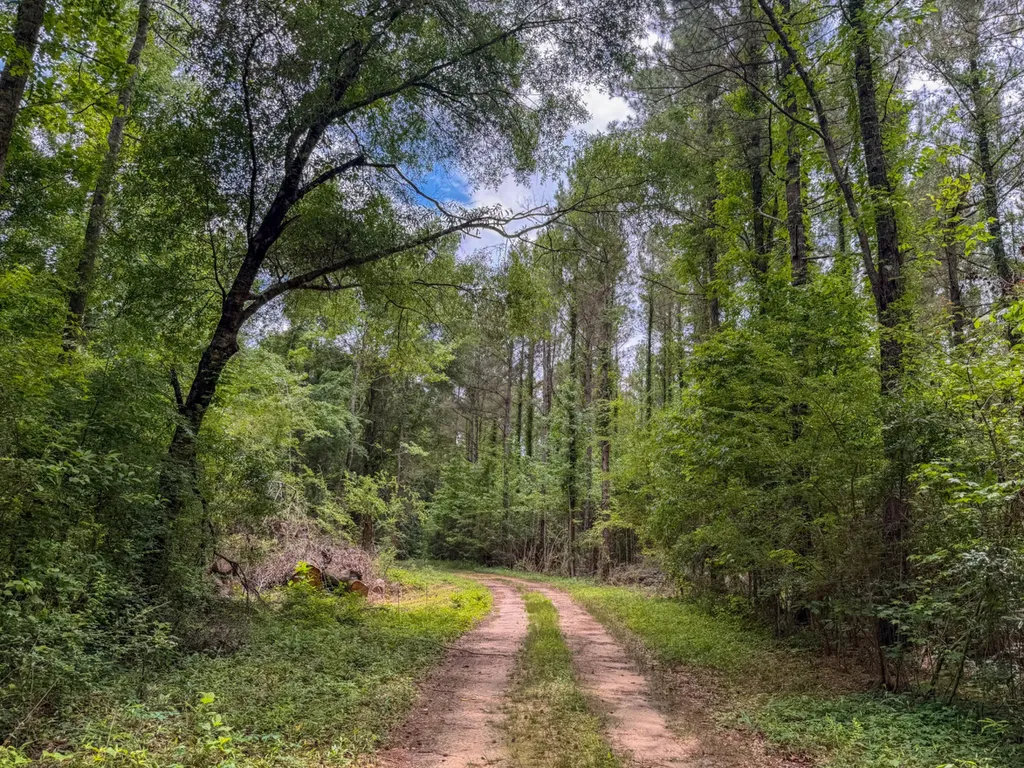 0 Highway 29 Marion Junction AL 36759