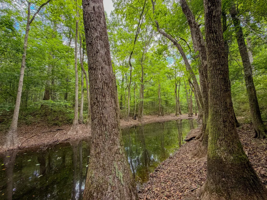 0 Highway 29 Marion Junction AL 36759