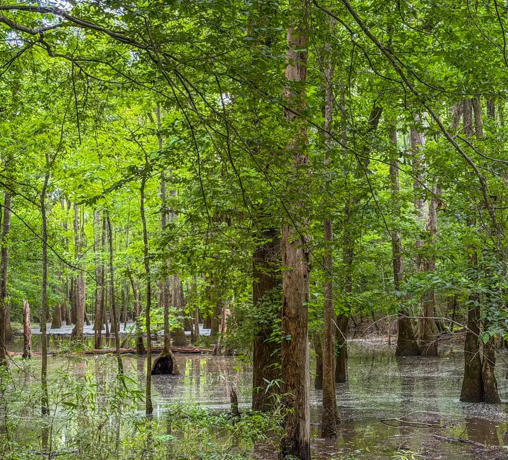 0 Highway 29 Marion Junction AL 36759