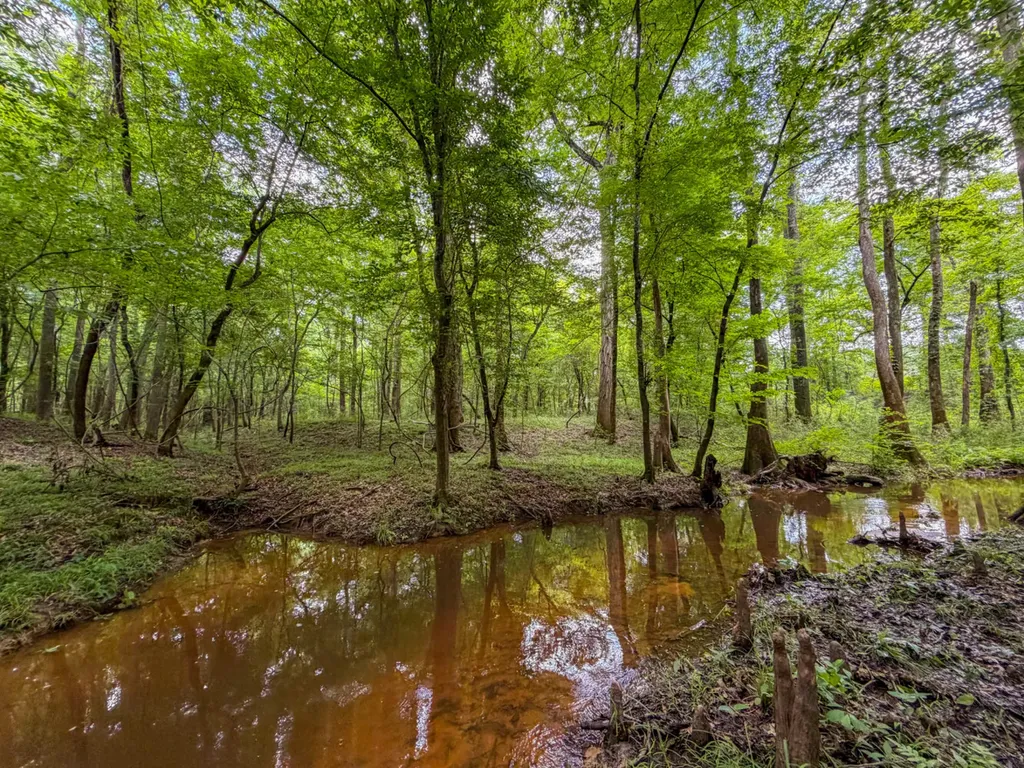 0 Highway 29 Marion Junction AL 36759