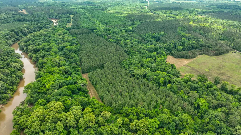0 Highway 29 Marion Junction AL 36759
