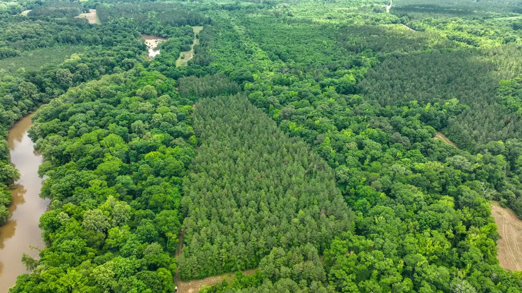 0 Highway 29 Marion Junction AL 36759