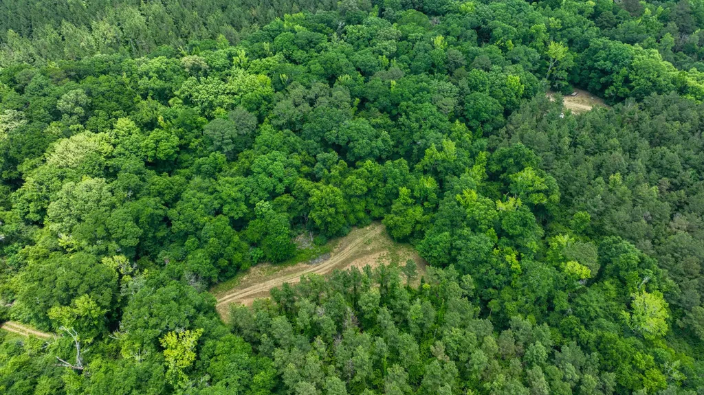 0 Highway 29 Marion Junction AL 36759