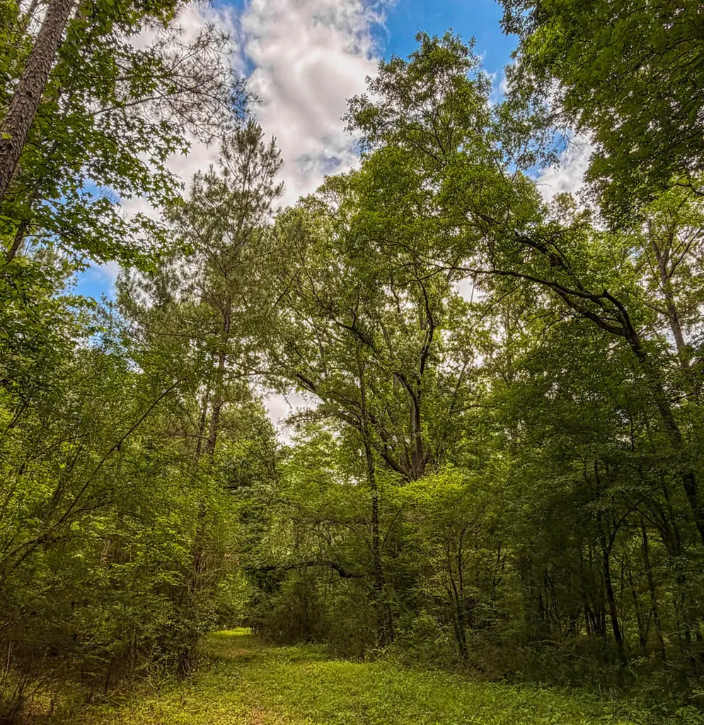 0 Highway 29 Marion Junction AL 36759