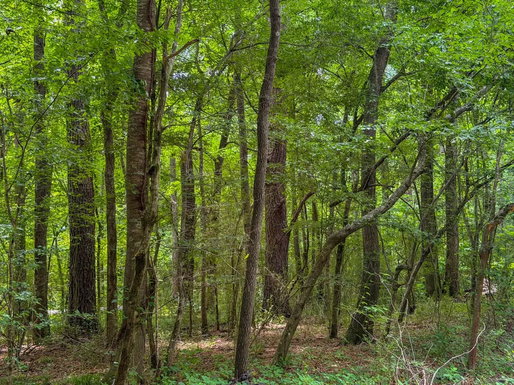 0 Highway 29 Marion Junction AL 36759