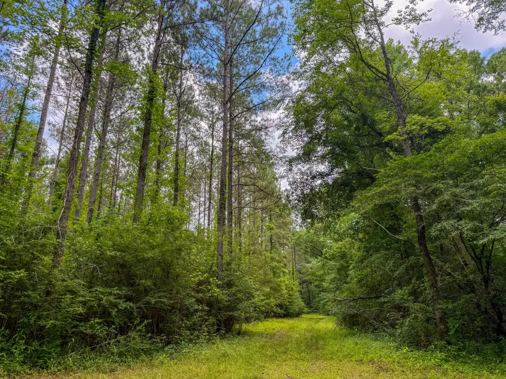 0 Highway 29 Marion Junction AL 36759