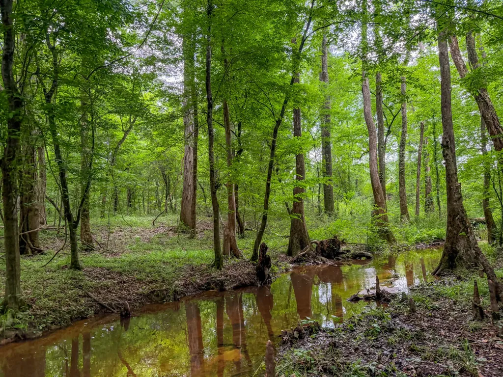 0 Highway 29 Marion Junction AL 36759