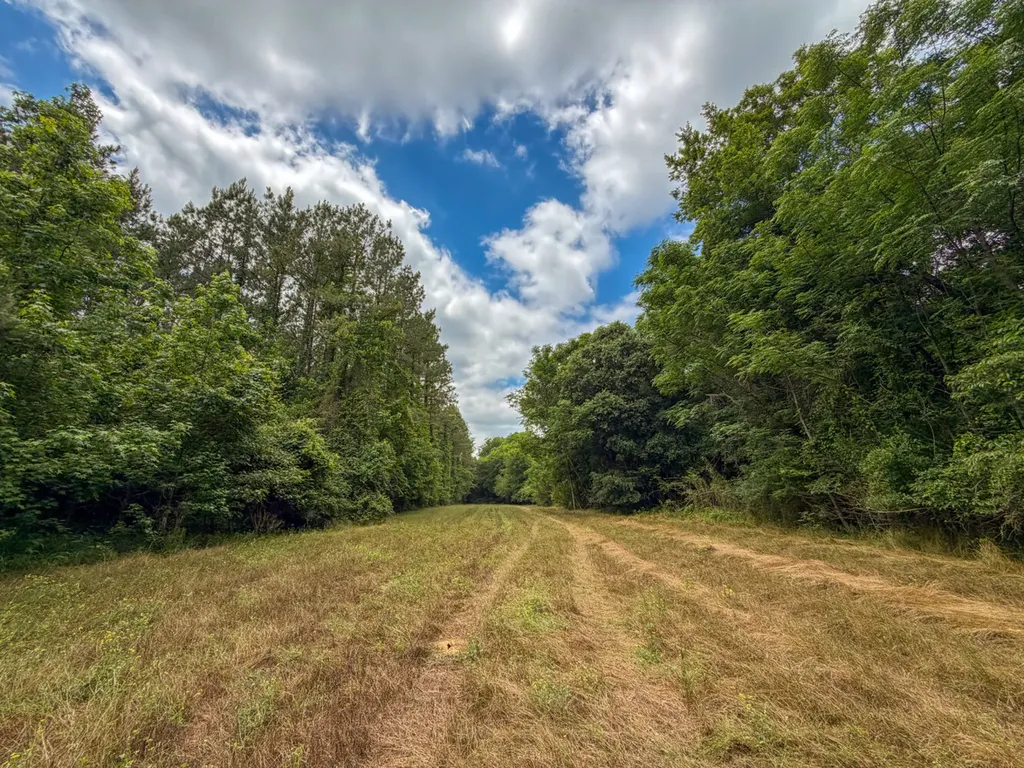 0 Highway 29 Marion Junction AL 36759