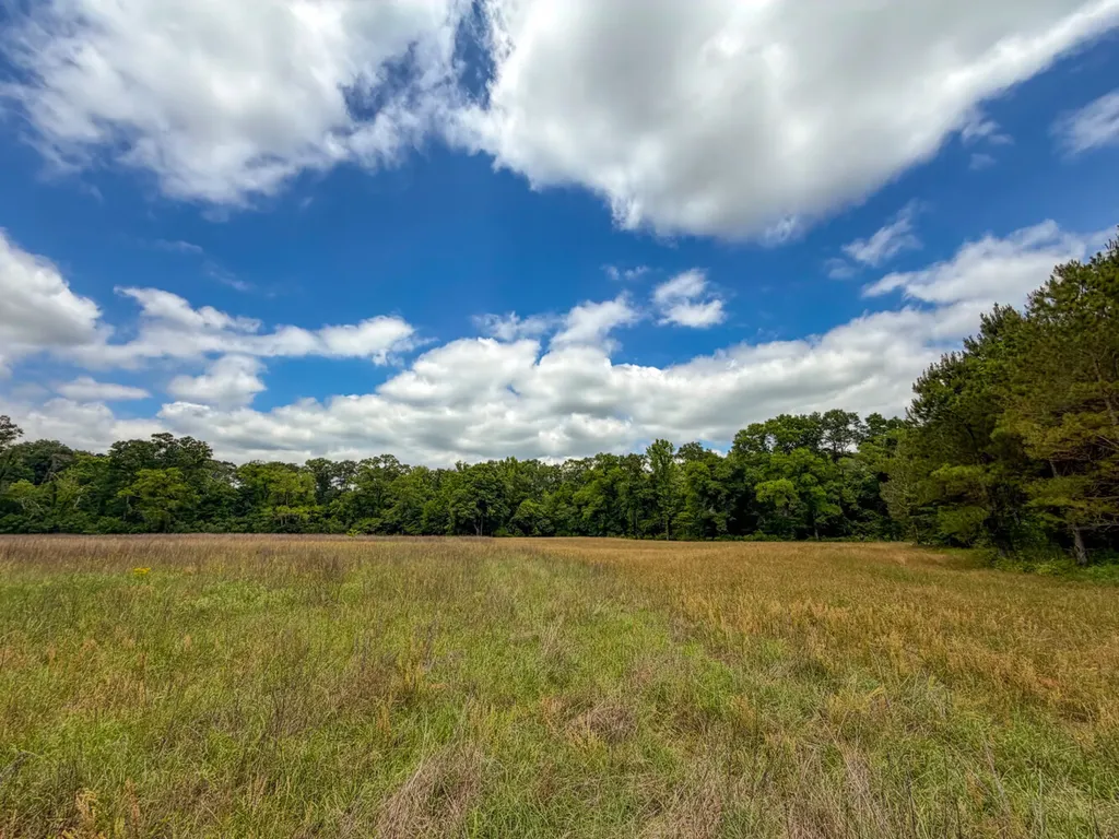 0 Highway 29 Marion Junction AL 36759