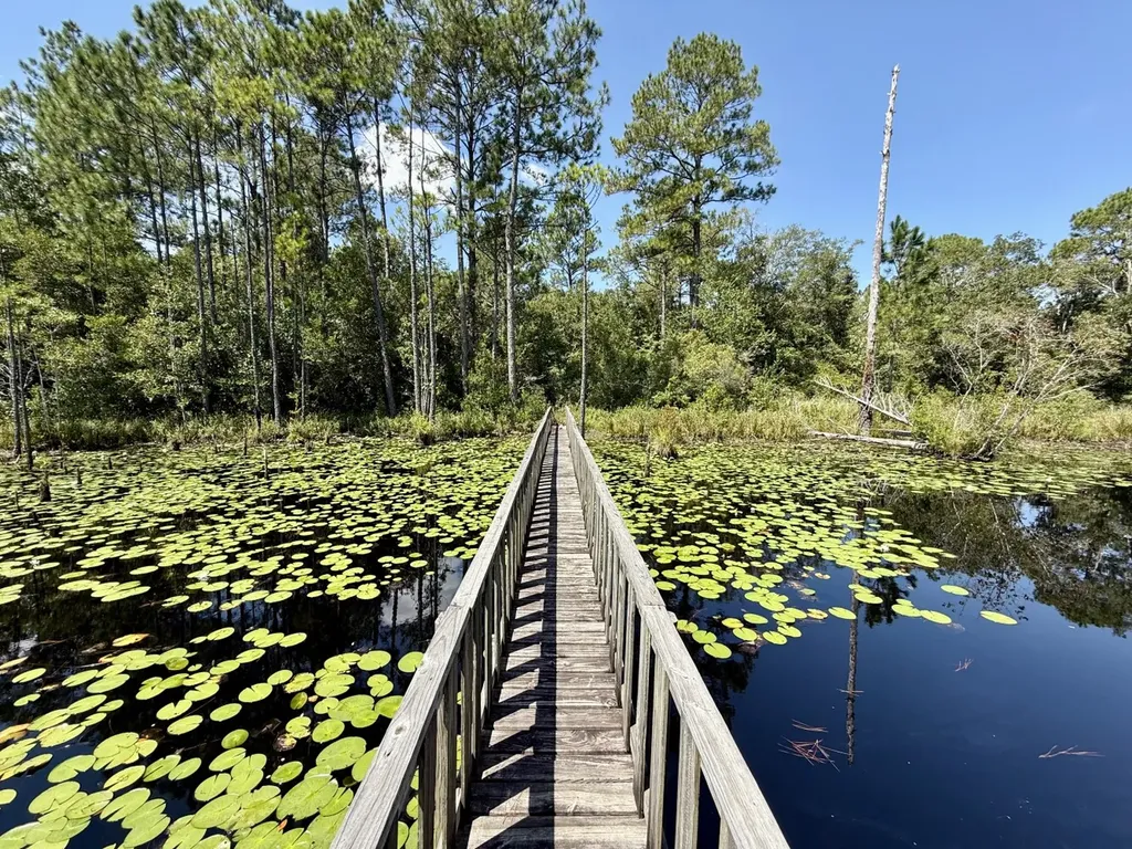 27505 Glass Road Robertsdale AL 36567