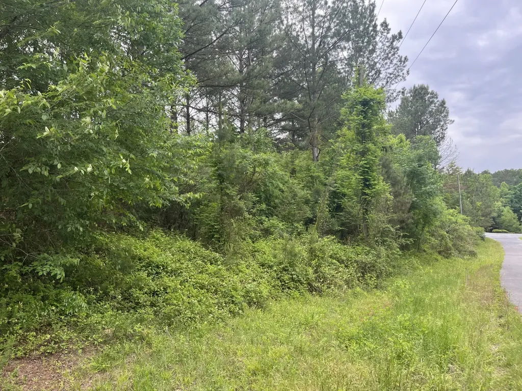 0 Mill Creek Lane Sylacauga AL 35151