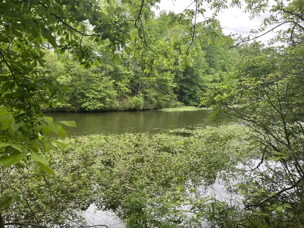 0 Mill Creek Lane Sylacauga AL 35151