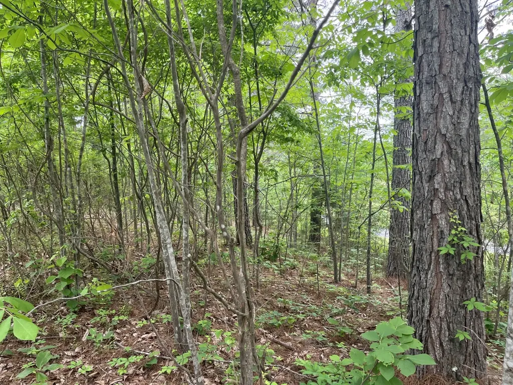 0 Mill Creek Lane Sylacauga AL 35151