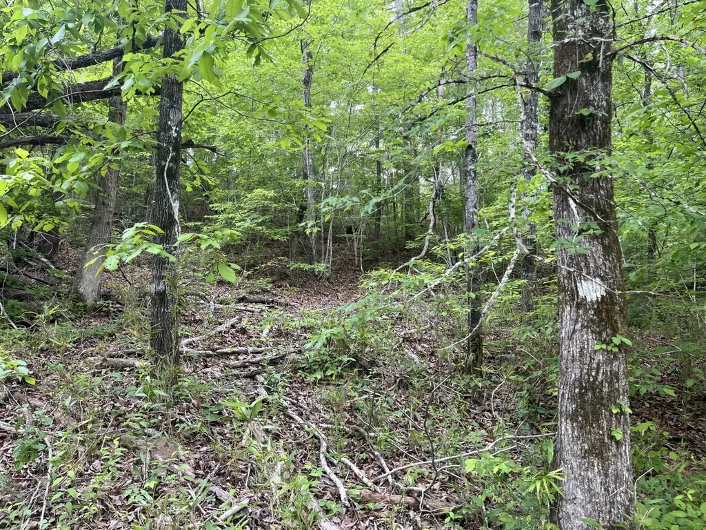 0 Mill Creek Lane Sylacauga AL 35151