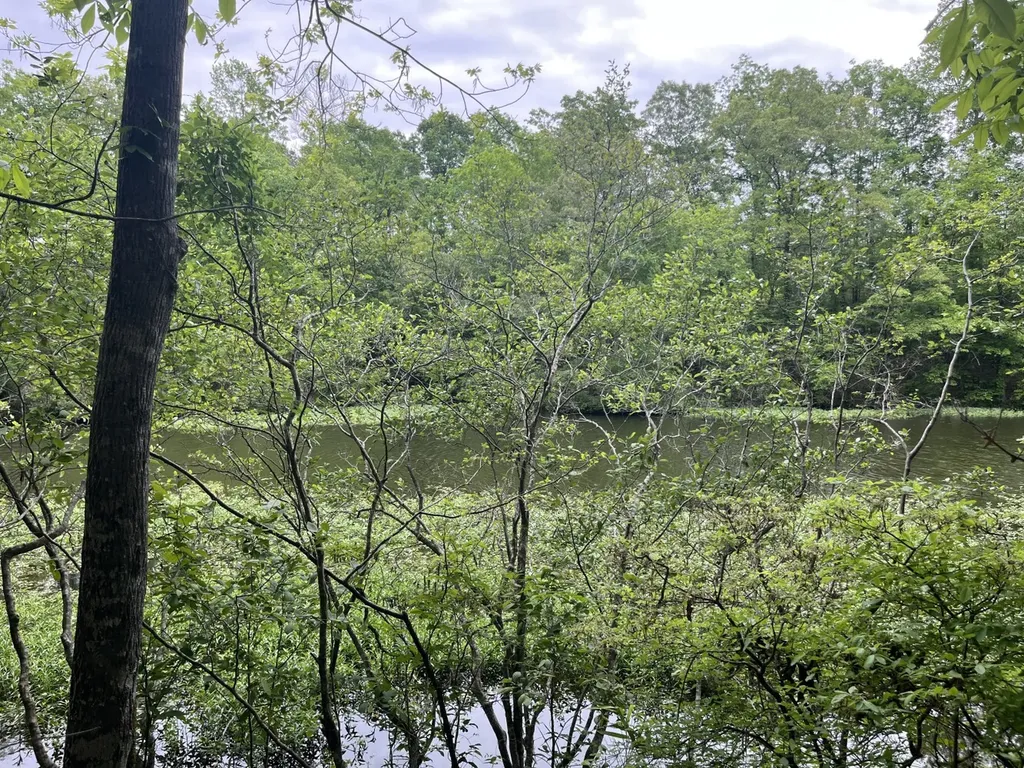0 Mill Creek Lane Sylacauga AL 35151