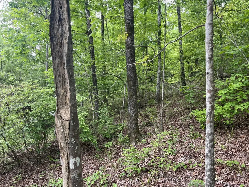 0 Mill Creek Lane Sylacauga AL 35151