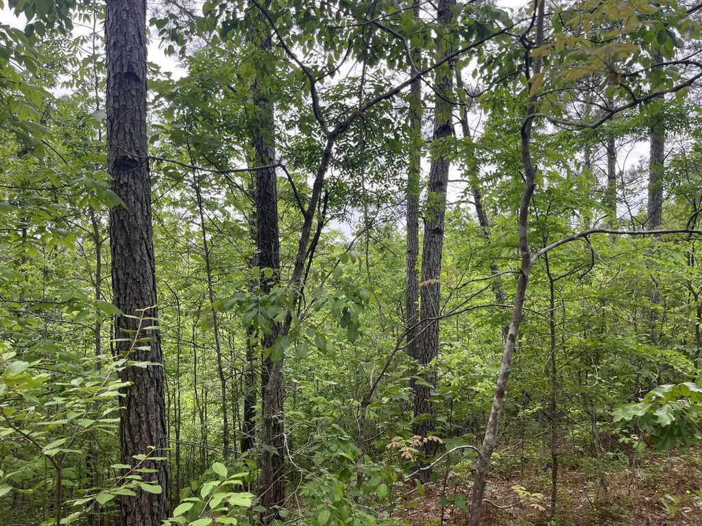 0 Mill Creek Lane Sylacauga AL 35151