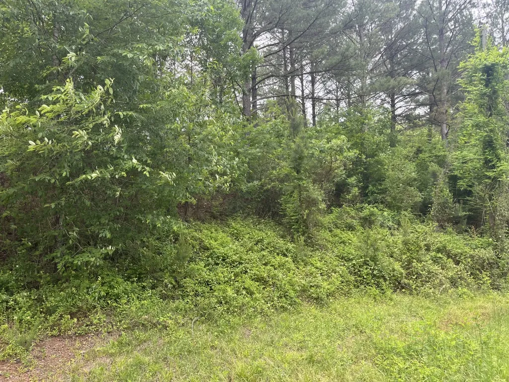 0 Mill Creek Lane Sylacauga AL 35151