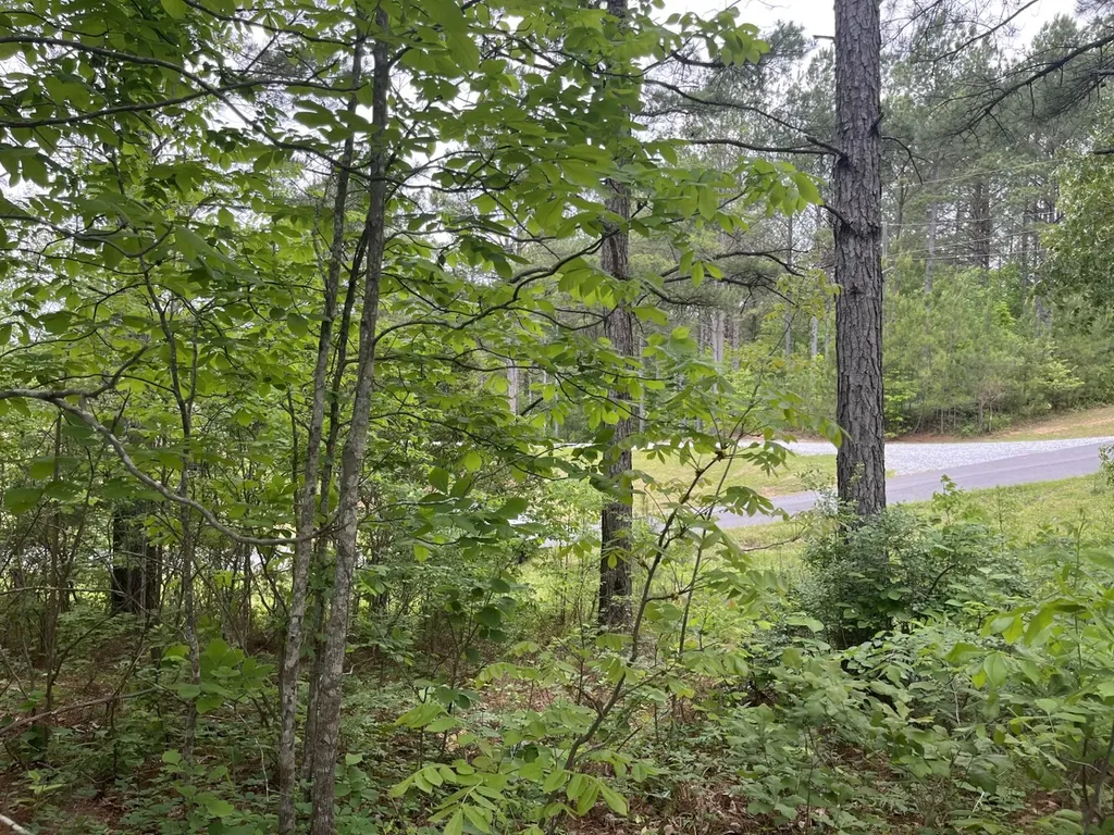 0 Mill Creek Lane Sylacauga AL 35151