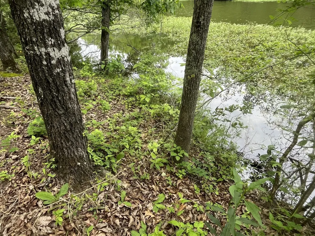 0 Mill Creek Lane Sylacauga AL 35151