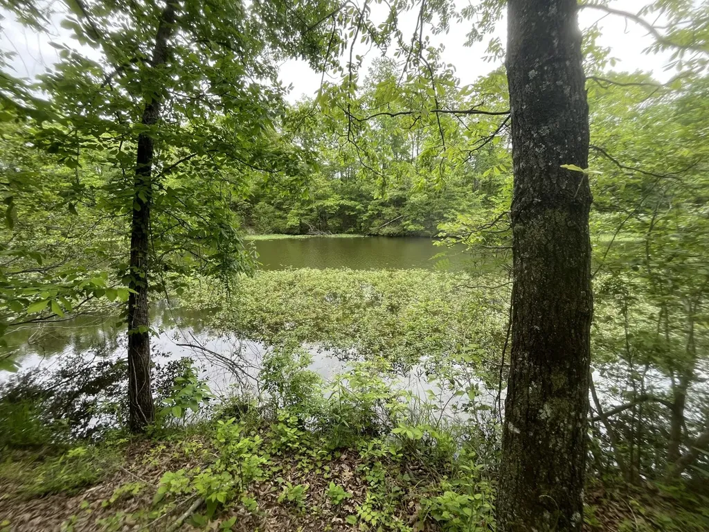 0 Mill Creek Lane Sylacauga AL 35151