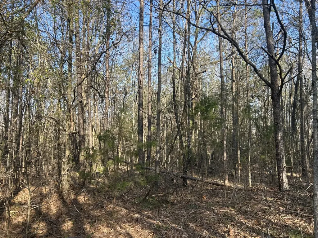 0 County Road 135 Stevenson AL 35772