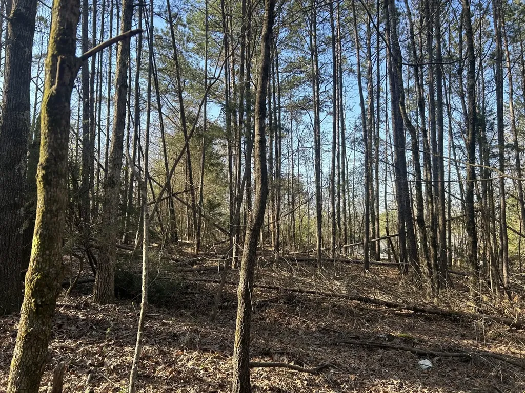 0 County Road 135 Stevenson AL 35772