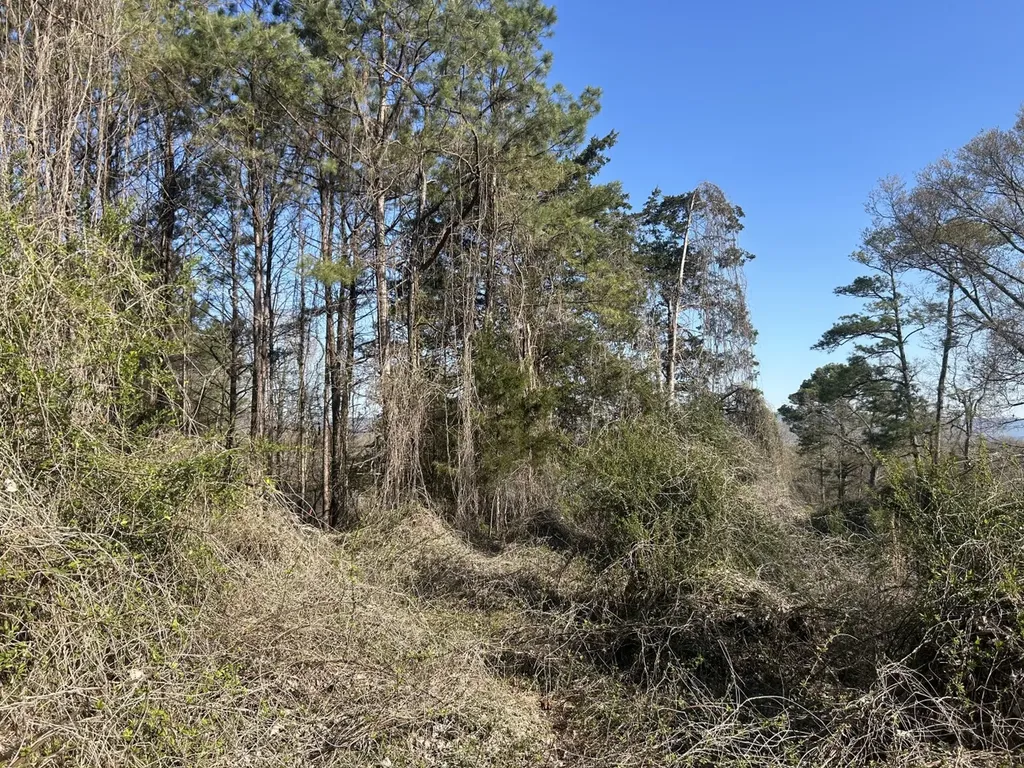 0 County Road 135 Stevenson AL 35772