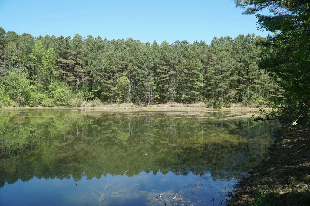 00 Byler Road Eldridge AL 35554