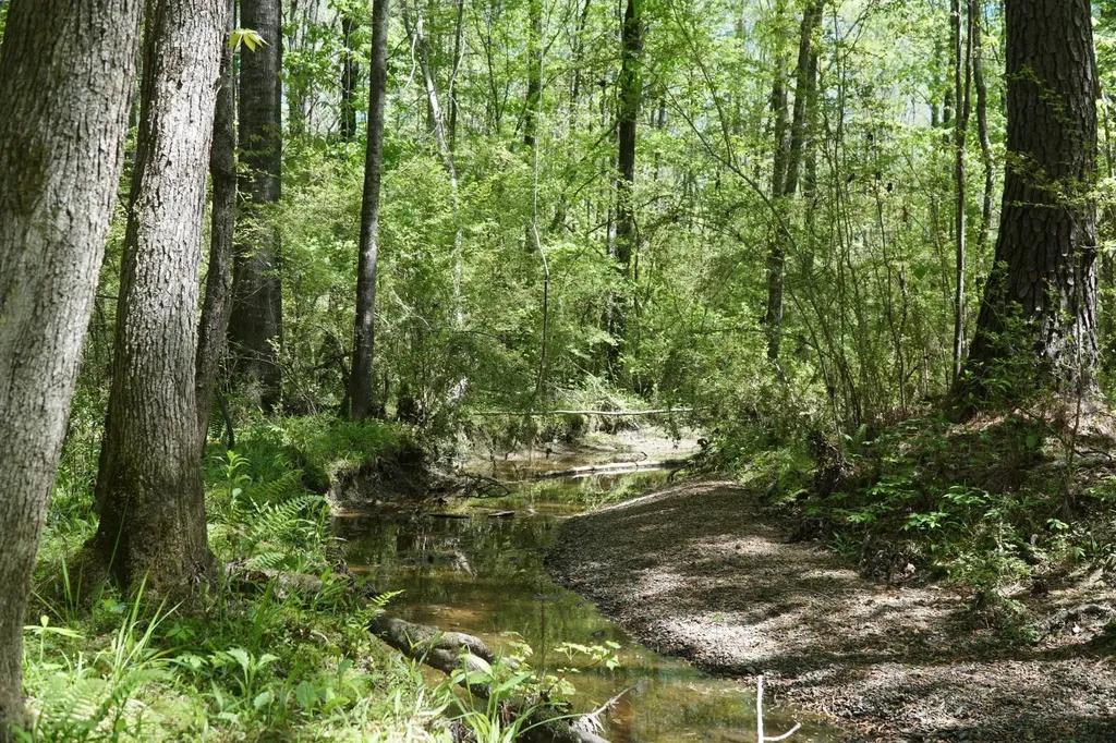 00 Byler Road Eldridge AL 35554