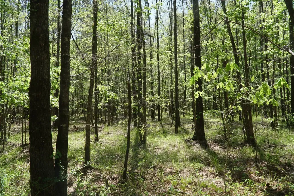 00 Byler Road Eldridge AL 35554