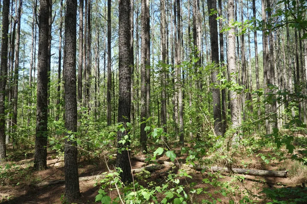 00 Byler Road Eldridge AL 35554