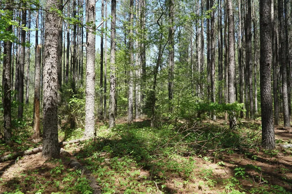 00 Byler Road Eldridge AL 35554