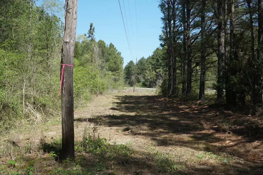 00 Byler Road Eldridge AL 35554