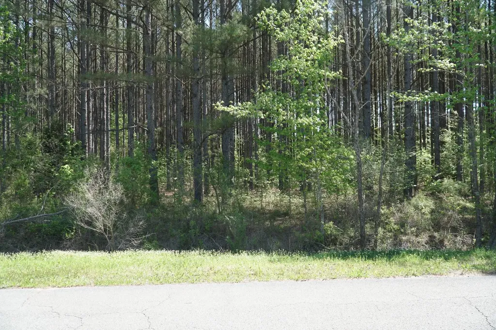 00 Byler Road Eldridge AL 35554