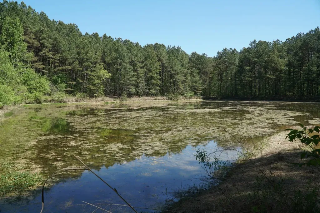 00 Byler Road Eldridge AL 35554