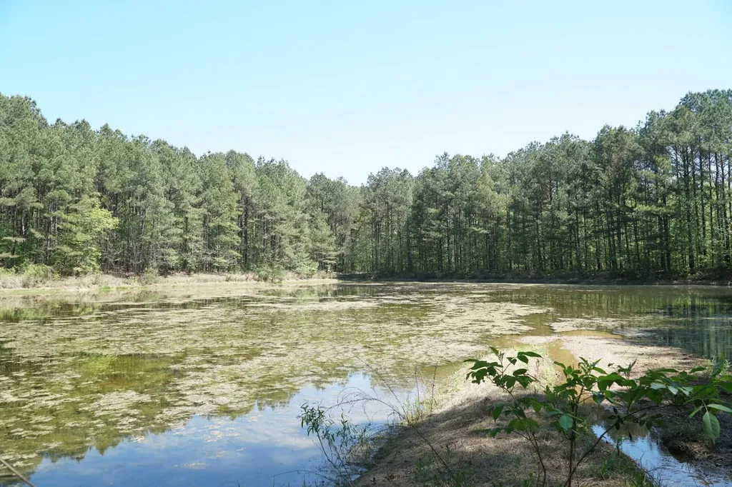 00 Byler Road Eldridge AL 35554