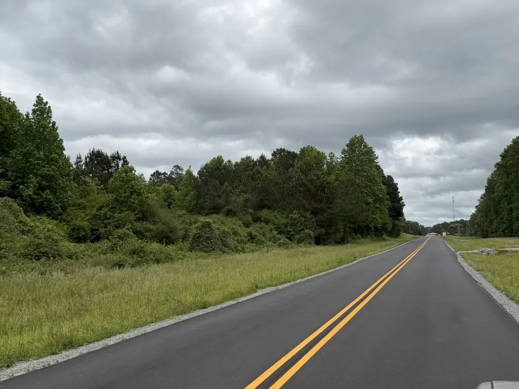 0 Highway 280 Dadeville AL 36853