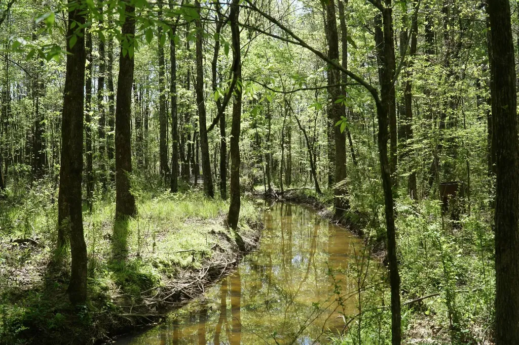 000 Byler Road Eldridge AL 35554