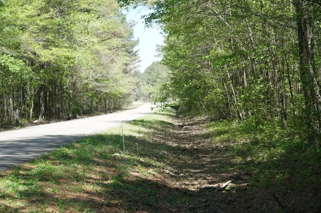 000 Byler Road Eldridge AL 35554