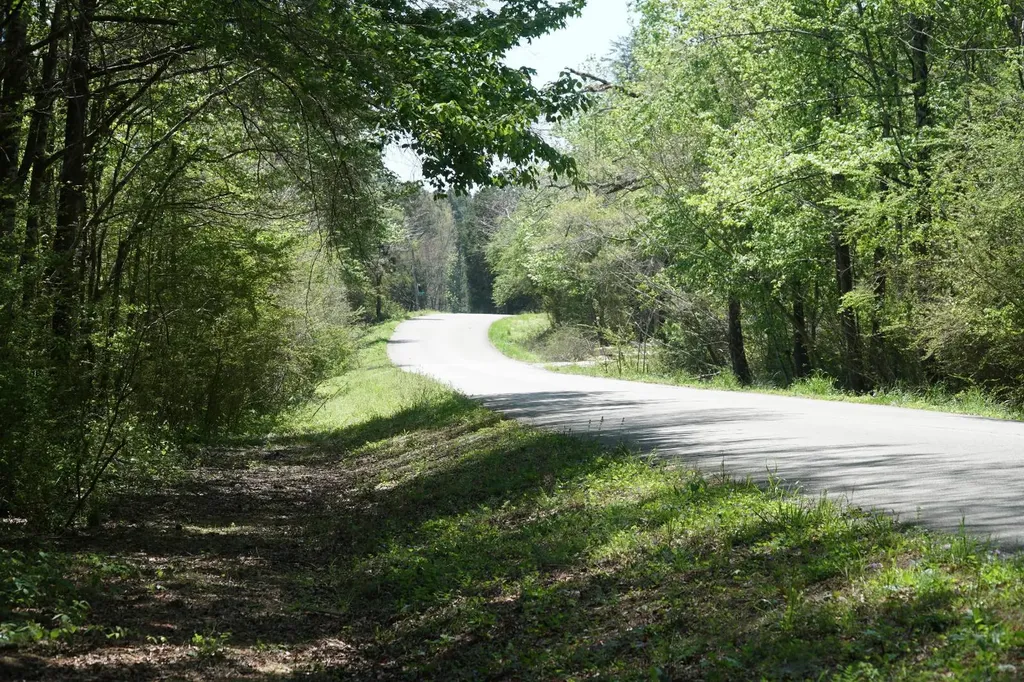 000 Byler Road Eldridge AL 35554