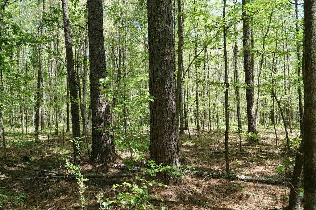000 Byler Road Eldridge AL 35554