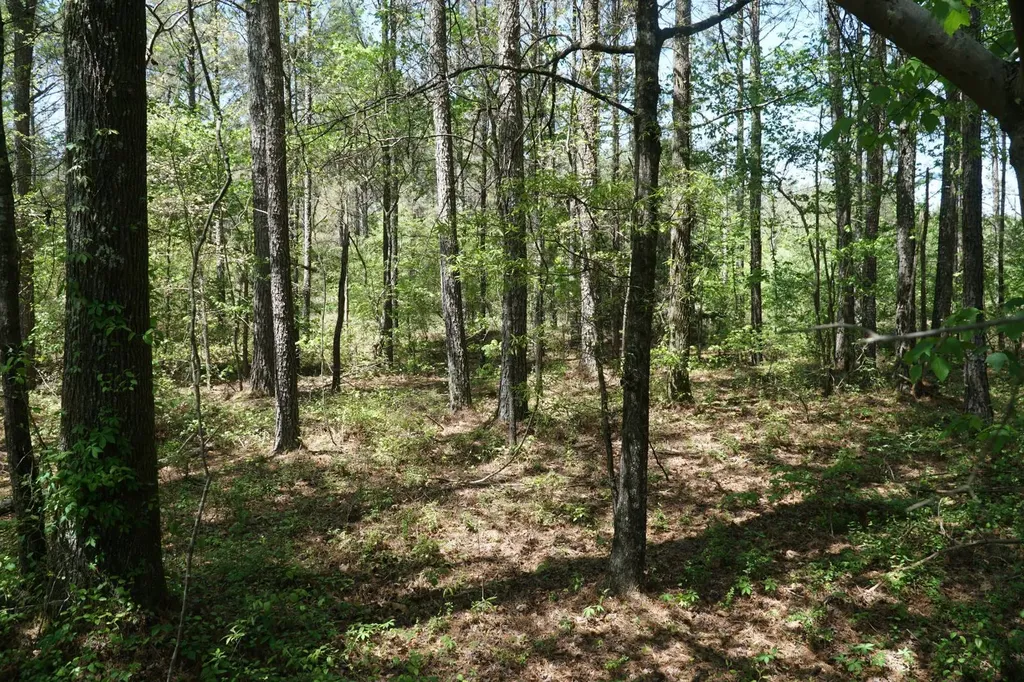 0 State Highway 13 Eldridge AL 35554