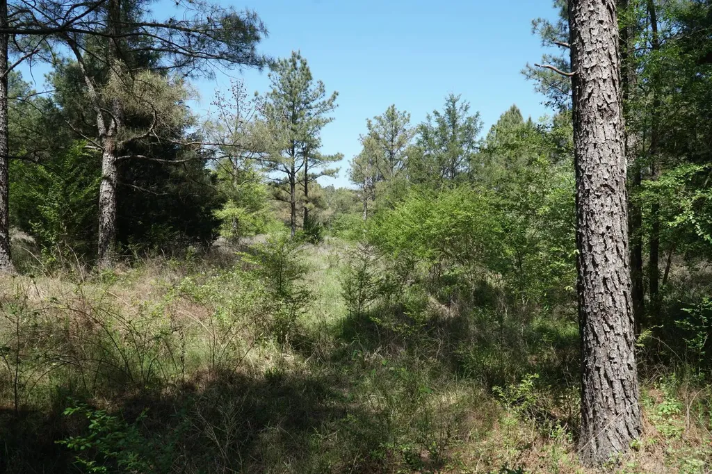 0 State Highway 13 Eldridge AL 35554