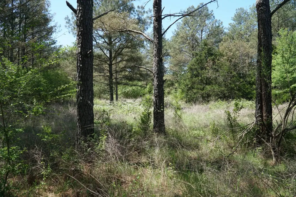 0 State Highway 13 Eldridge AL 35554