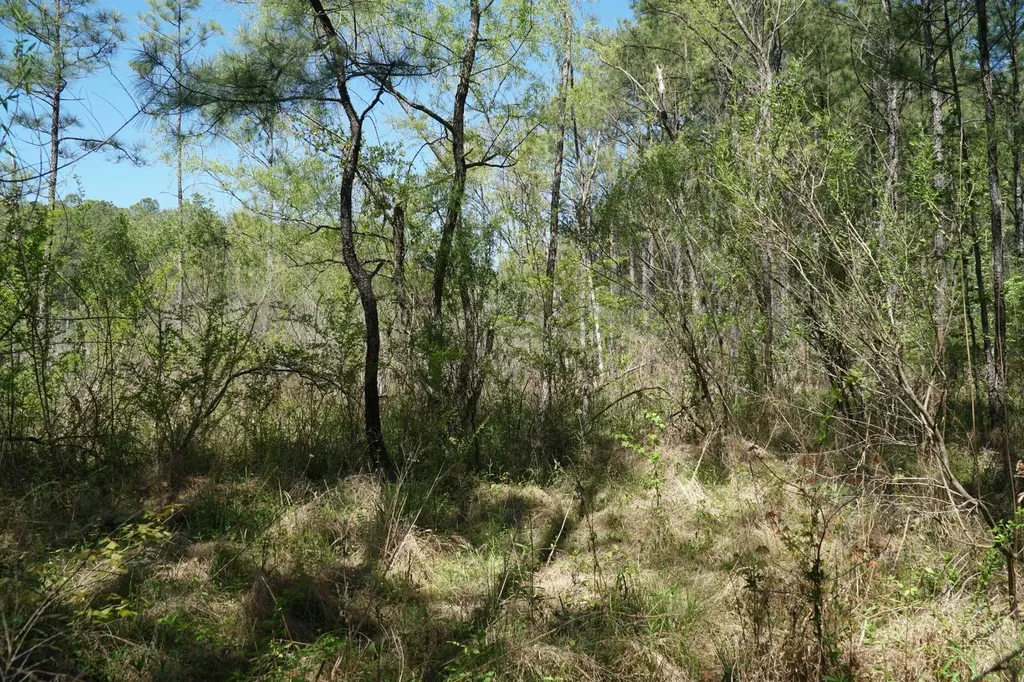 0 State Highway 13 Eldridge AL 35554