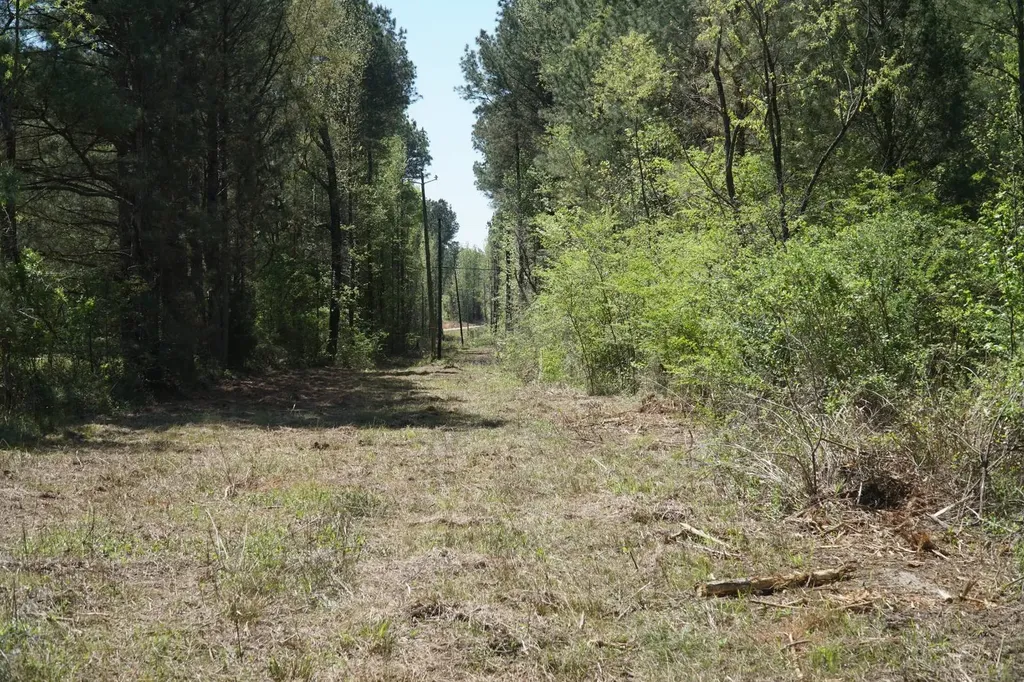0 State Highway 13 Eldridge AL 35554
